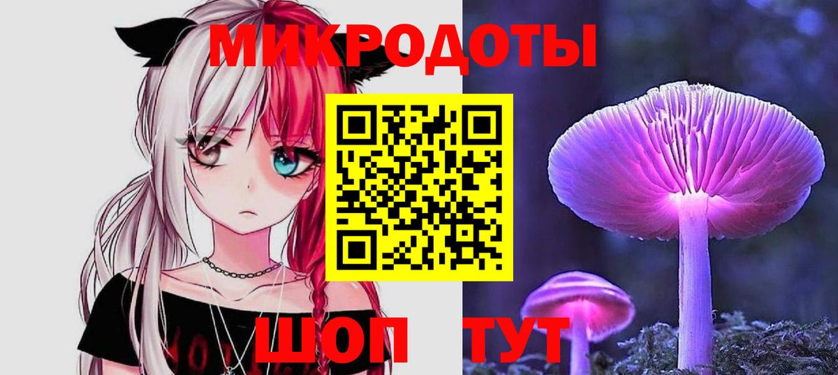 Псилоцибиновые грибы Psilocybine cubensis Энгельс