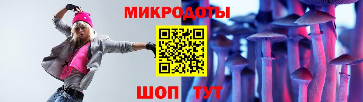 Энгельс  Псилоцибиновые грибы прущие грибы  Вход с VPN 